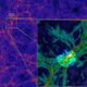 Illustration for article titled Our First Glimpse of the Web that Connects All Galaxies